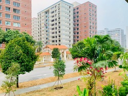 Blk 220 Tampines Street 24 (Tampines), HDB 3 Rooms #209841051